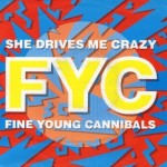 Fine Young Cannibals - She Drives Me Crazy