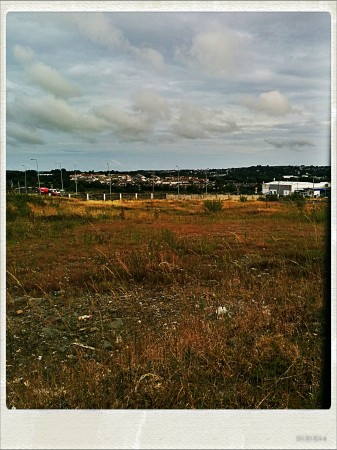 IMG_20140801_191355_Hagrid_Nolariod