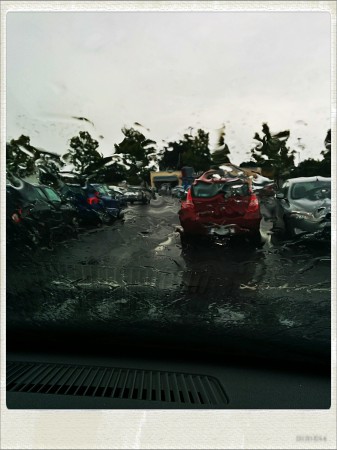 IMG_20140802_164651_Hagrid_Nolariod