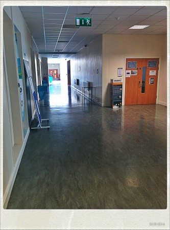 IMG_20140821_112759_Hagrid_Nolariod