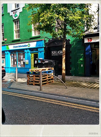 IMG_20140825_160450_Hagrid_Nolariod