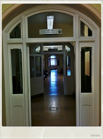 IMG_20140826_150029_Hagrid_Nolariod