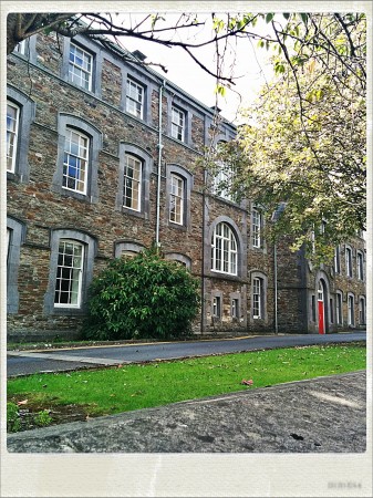 IMG_20140902_141245_Hagrid_Nolariod