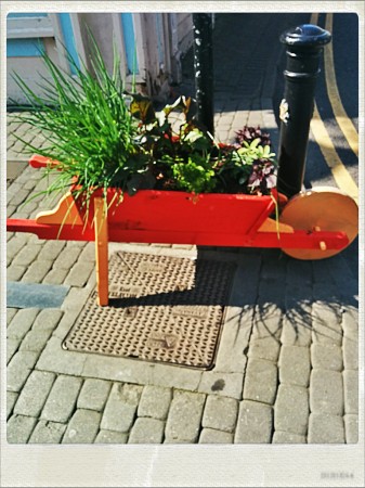 IMG_20140911_132021_Hagrid_Nolariod