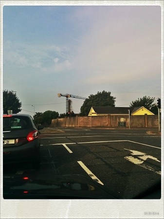 IMG_20140913_093357_Hagrid_Nolariod