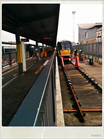 IMG_20140917_155957_Hagrid_Nolariod