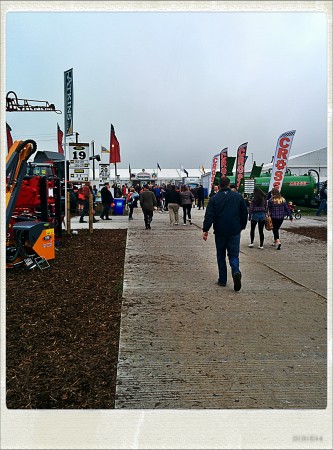 IMG_20140925_095857_Hagrid_Nolariod