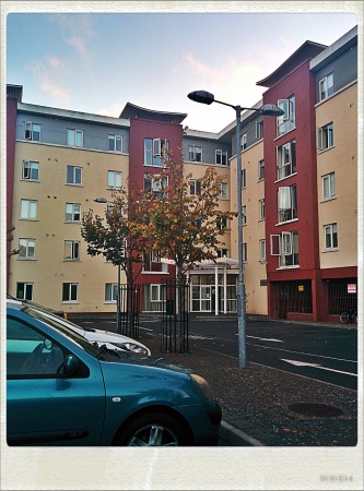 IMG_20140929_185640_Hagrid_Nolariod