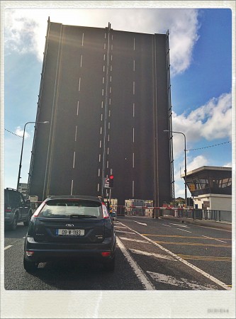 IMG_20141002_115641_Hagrid_Nolariod