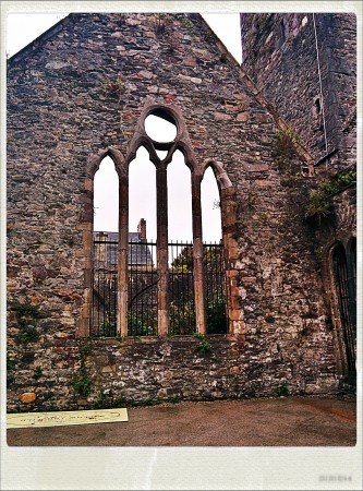 IMG_20141003_141747_Hagrid_Nolariod