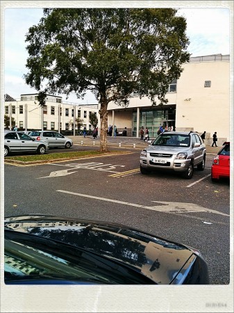 IMG_20141007_170638_Hagrid_Nolariod