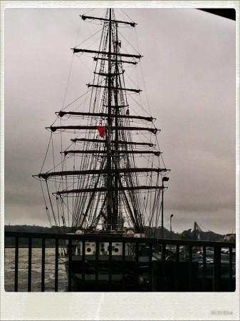 IMG_20141015_131341_Hagrid_Nolariod