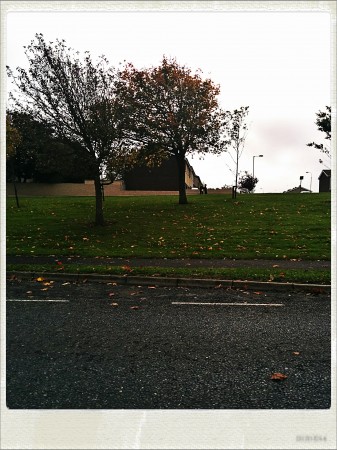 IMG_20141016_135343_Hagrid_Nolariod