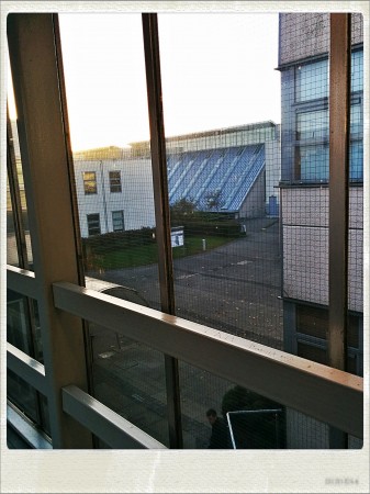 IMG_20141021_083926_Hagrid_Nolariod