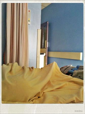 IMG_20141025_112109_Hagrid_Nolariod