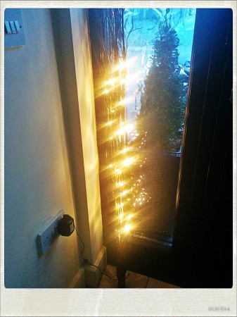 IMG_20141027_161759_Hagrid_Nolariod