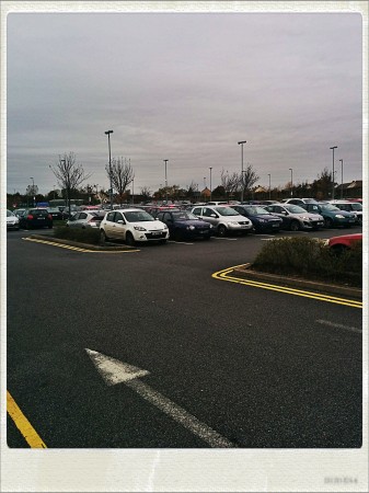 IMG_20141029_114930_Hagrid_Nolariod