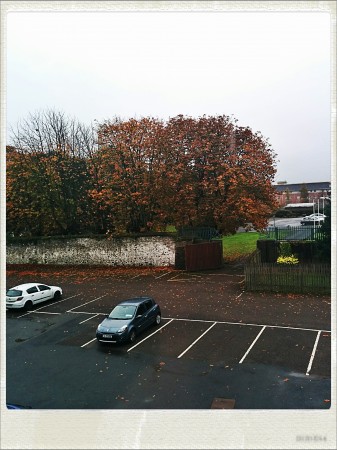 IMG_20141030_140721_Hagrid_Nolariod