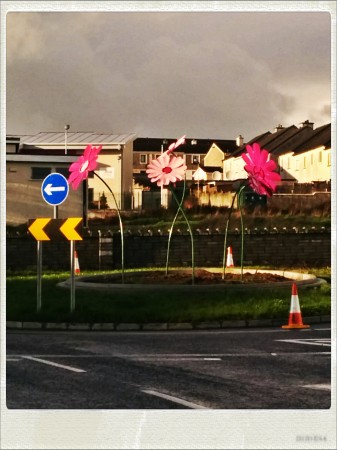 IMG_20141109_151438_Hagrid_Nolariod