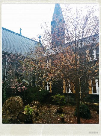 IMG_20141111_101643_Hagrid_Nolariod