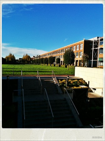 IMG_20141114_141345_Hagrid_Nolariod