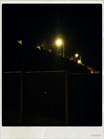 IMG_20141128_063644_Hagrid_Nolariod