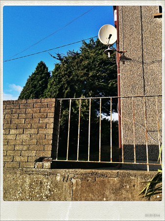 IMG_20141210_140920_Hagrid_Nolariod