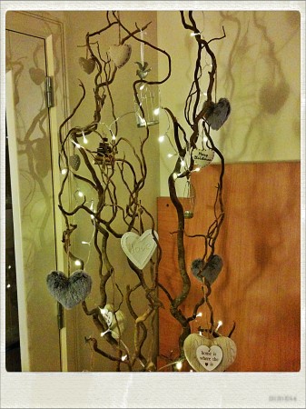 IMG_20141213_165428_Hagrid_Nolariod