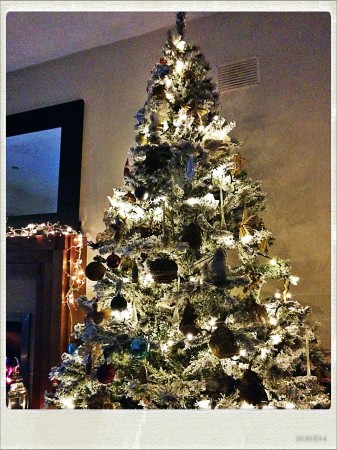 IMG_20141216_185456_Hagrid_Nolariod