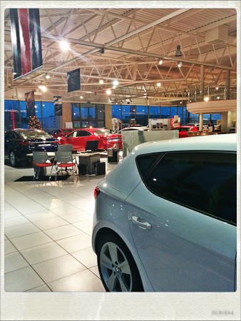 IMG_20141218_162453_Hagrid_Nolariod