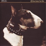 Pixies - Here Comes Your Man