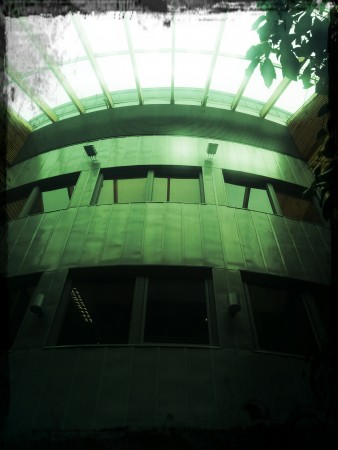 IMG_20150219_114233_Dean_Trashy