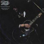 The Waterboys - The Whole Of The Moon
