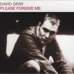David Gray - Please Forgive Me