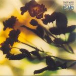 Danny Wilson - The Second Summer Of Love