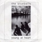 The Bluebells - Young At Heart
