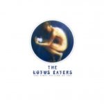 The Lotus Eaters -  The First Picture Of You