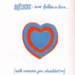 Buzzcocks -  Ever Fallen In Love (With Someone You Shouldn't've)