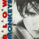 The Blow Monkeys - It Doesn't Have to Be This Way