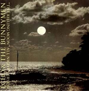 Echo & The Bunnymen - The Killing Moon