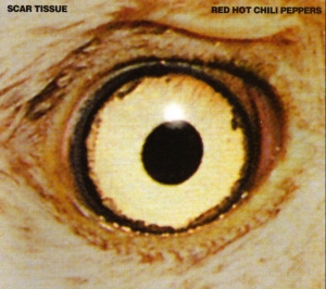 Red Hot Chili Peppers - Scar Tissue