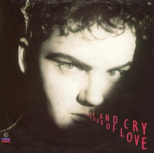 Hue And Cry - Labour Of Love