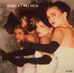 Robert Palmer - I Didn't Mean To Turn You On