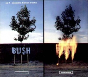 Bush - Swallowed